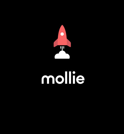 Mollie Magento 2 ontwikkeling